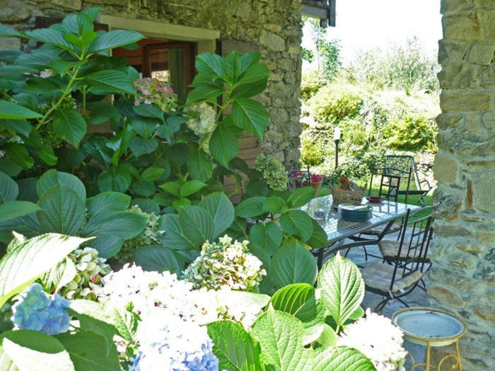 Villa Erica Con Piscina Privata Sul Lago Di Como Colico Ngoại thất bức ảnh